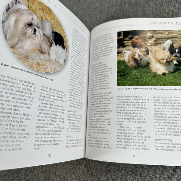 The Shih Tzu: Your Essential Guide From Puppy to Senior Dog Edited By Juliette C - Picture 5 of 12